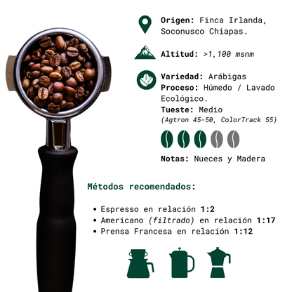 Café Xoló-Brew Blend - 454g 